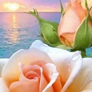 Meet your Posher, Kieu